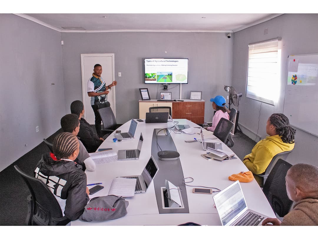 Business Mentorship & Training Facilitator